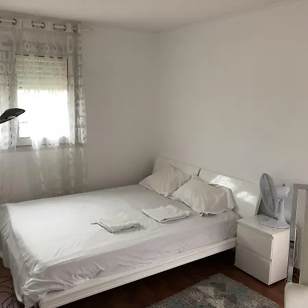 Apartment New Loft Design